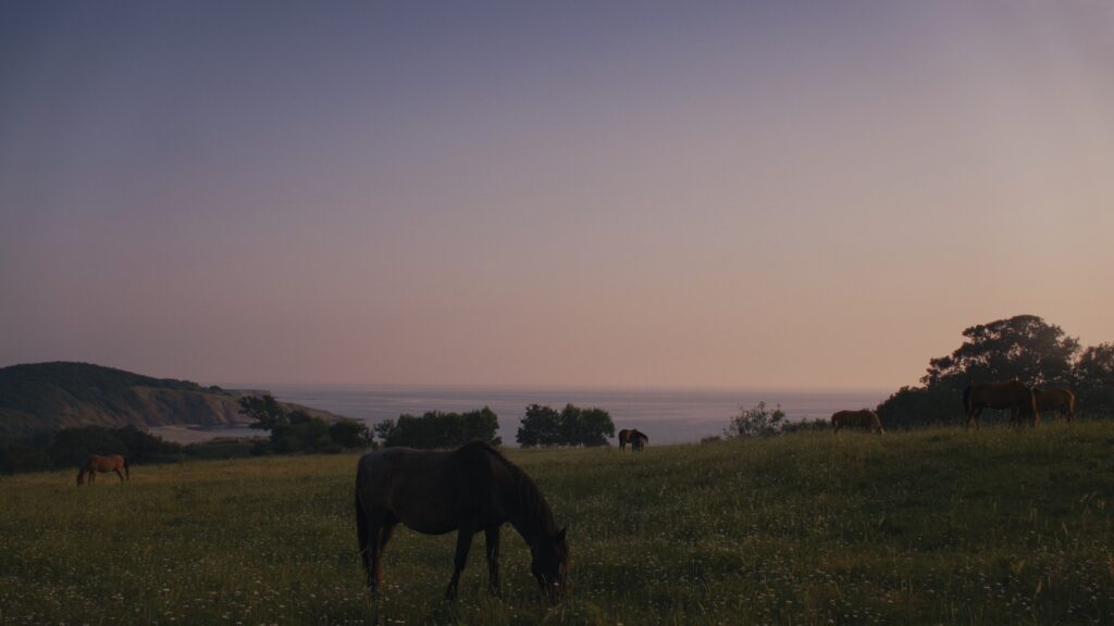 14_NTO_stills_1.298.1