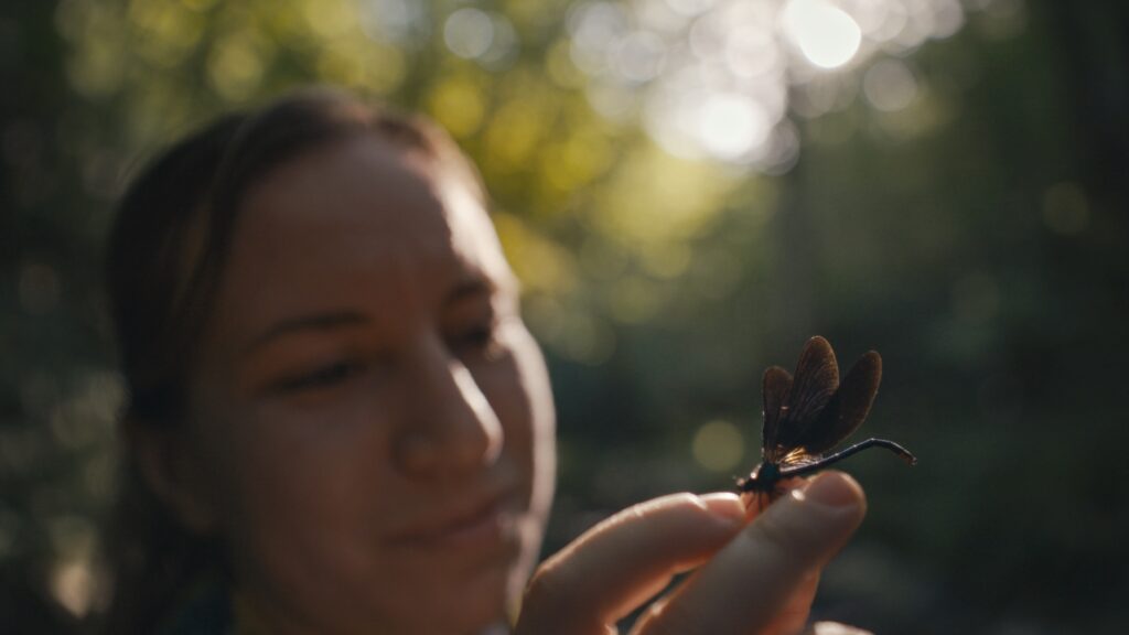 15_NTO_stills_1.308.1