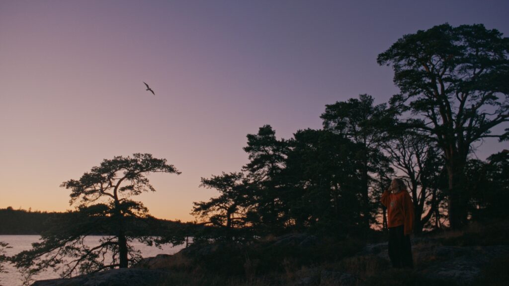 7_NTS_stills_1.504.1